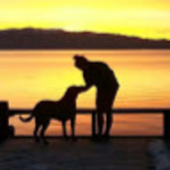 Meet your Posher, Clare - Picture 1 of 1